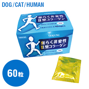 楽々非変性II型コラーゲン 60粒 【サプリメント】