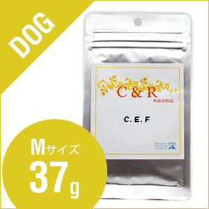 C&R C.E.F　【旧SGJプロダクツ】 C．E．F　Ｍサイズ（37g）（犬用）【サプリメント】S.G.J.【SGJ】