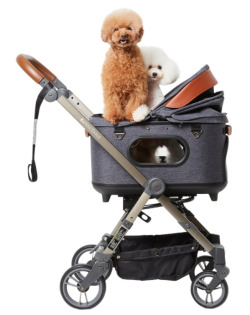 【ROYAL TAILS（ロイヤルテイルズ）】Grace Classic(グレイスクラシック）