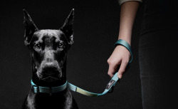 【sleepypod】Traffic Leash /トラフィックリーシュ（4色）