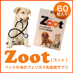 Zootズット　1箱60粒入り