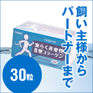 駿楽　3箱　非変性Ⅱ型コラーゲン Amazon | 非変形性2型コラーゲン 駿楽 30粒 若光がグレードアップ