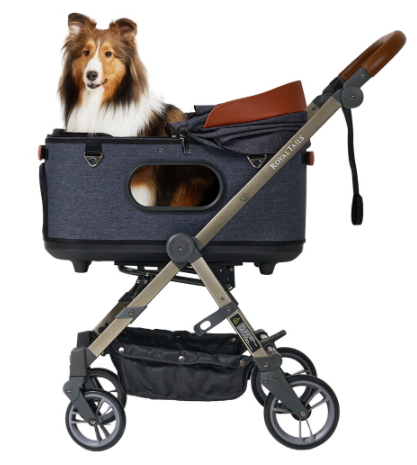 ROYAL TAILS（ロイヤルテイルズ）】Grace Classic Plus(グレイス