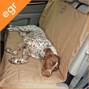 spr-1_2.jpg?t=20171122134030