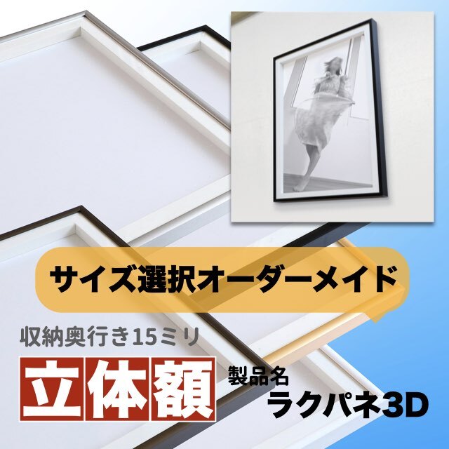ラクパネ3D「立体額」オーダーサイズメインイメージ