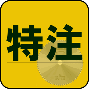 特注