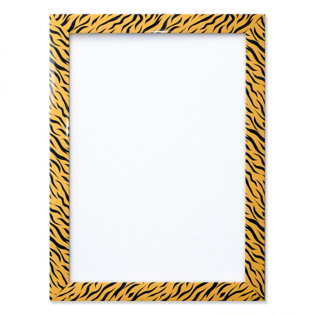 パタンパ　Ｗ　「タイガー」　TP018