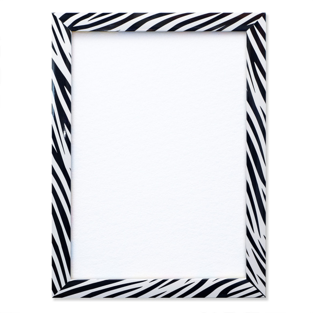 パタンパ　Ｗ　「シマウマ」　TP019