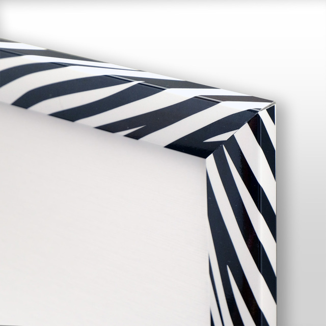 パタンパ　Ｗ　「シマウマ」　TP019