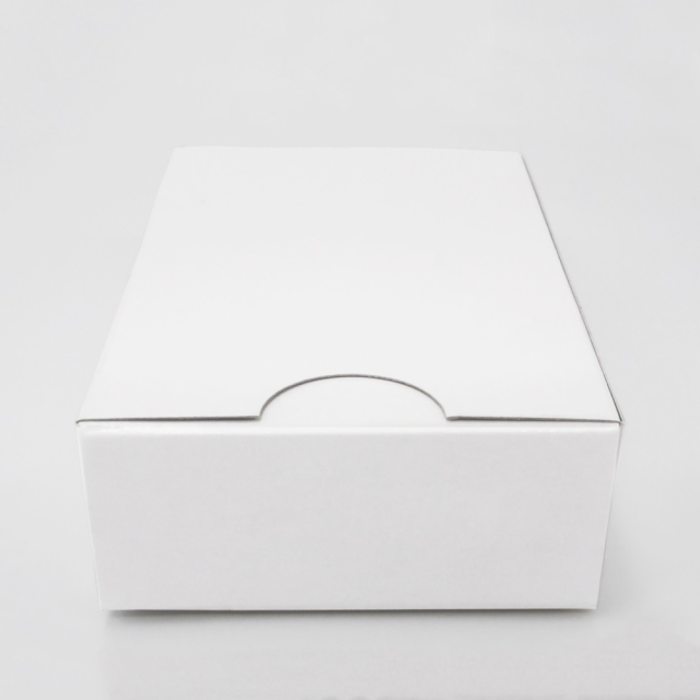 アメリカンロック式フタ