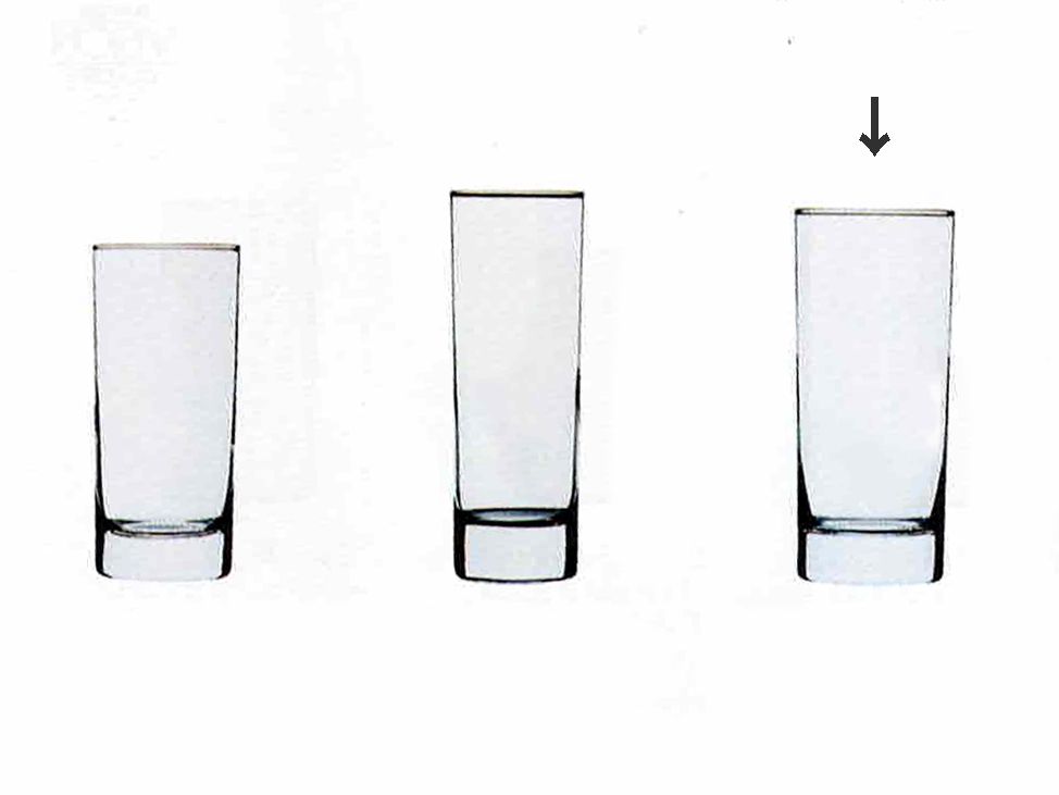 イスランド　タンブラー　290