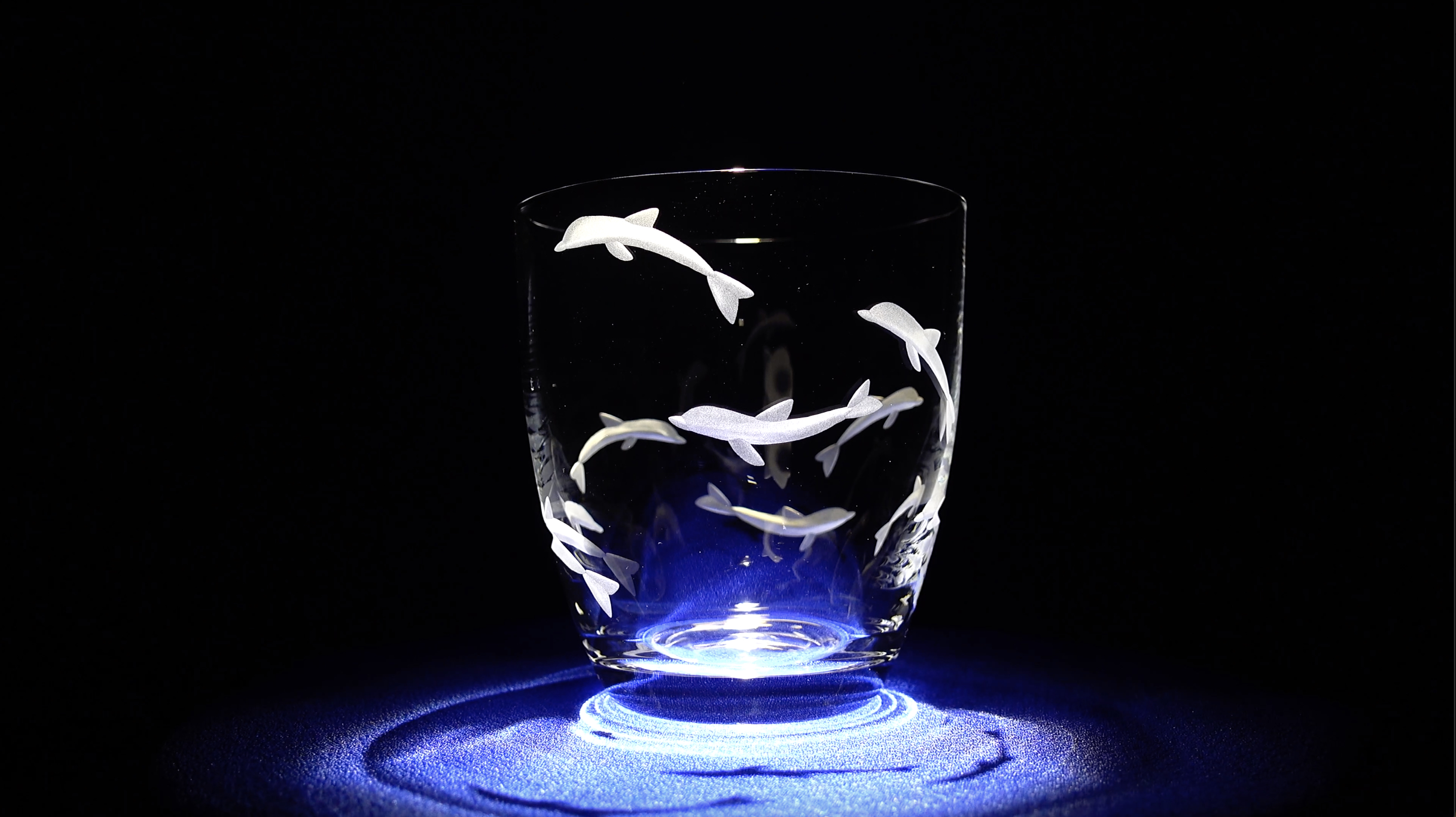 Dolphin Dance