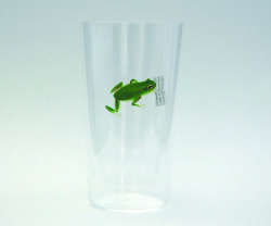 ＦＲＯＧ　ｆａｍｉｌｙ ５ｏｚ極薄タンブラー　ｂｏｏｋ
