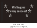 018　STAR　イラスト＆文字入れ　加工内容確定後「７営業日」仕上げ