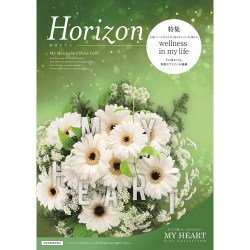 horizon