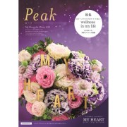 peak
