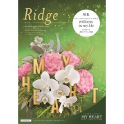 ridge