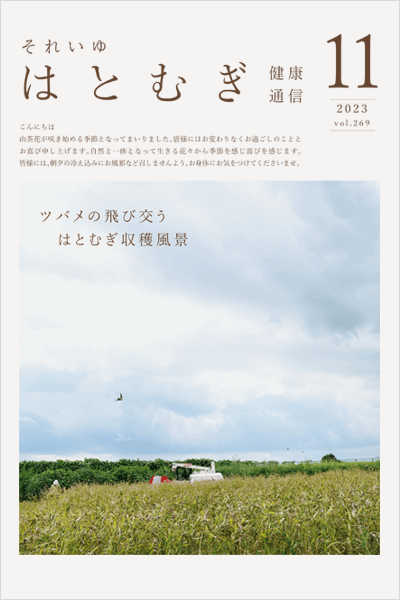 2023年11月　Vol.269