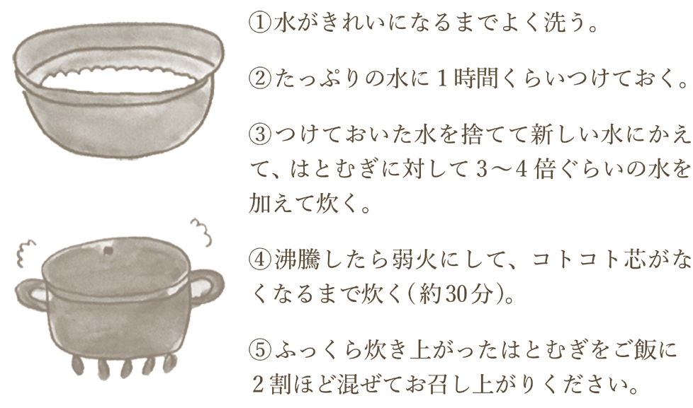 はとむぎの炊き方