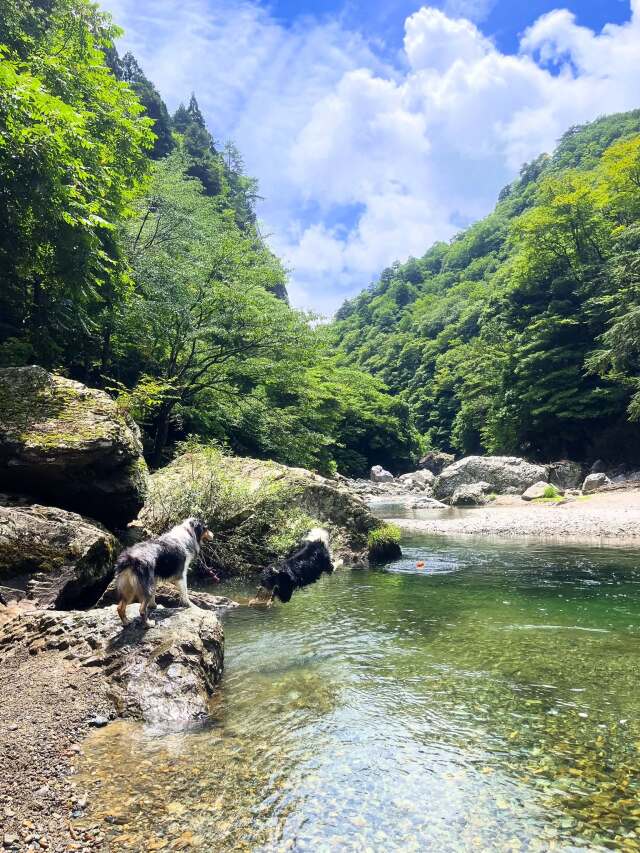 ファミリー