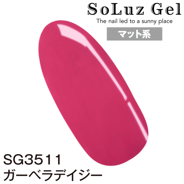 ガーベラデイジー［SG3511］