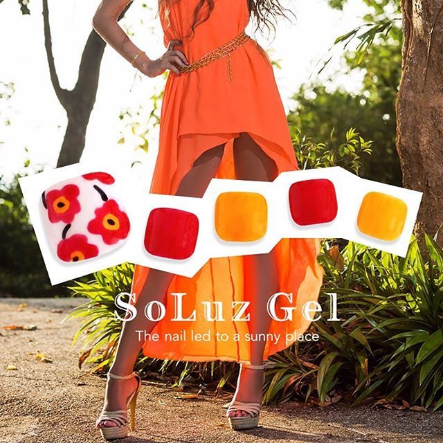 マリーゴールド マリーゴールドブッシュ x 15（イエローオレンジ）（商品詳細