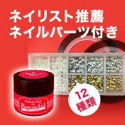 Aセット　Parts-onGel(ネイルパーツ12種付) [SG3234-1]