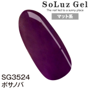 ボサノバ［SG3524］