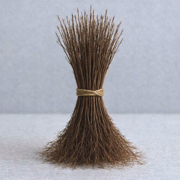 ユキヤナギ_はだか苗