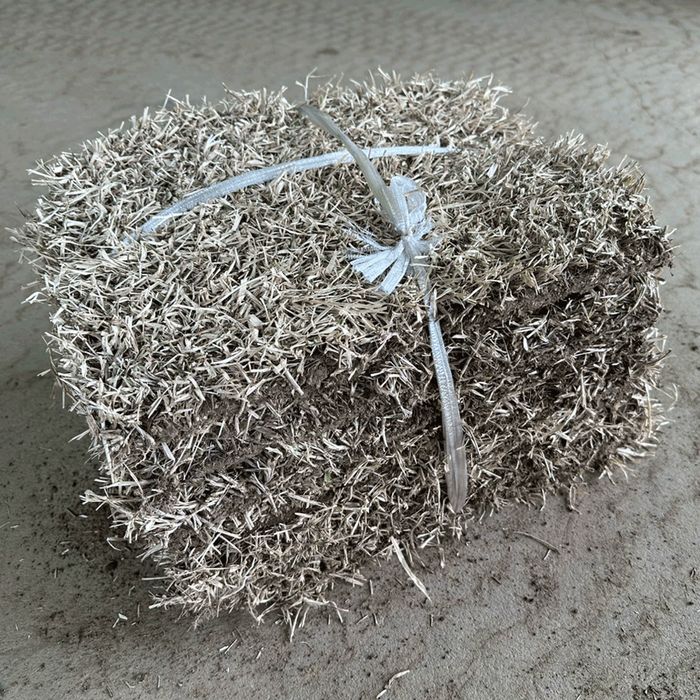 つくば太郎10束