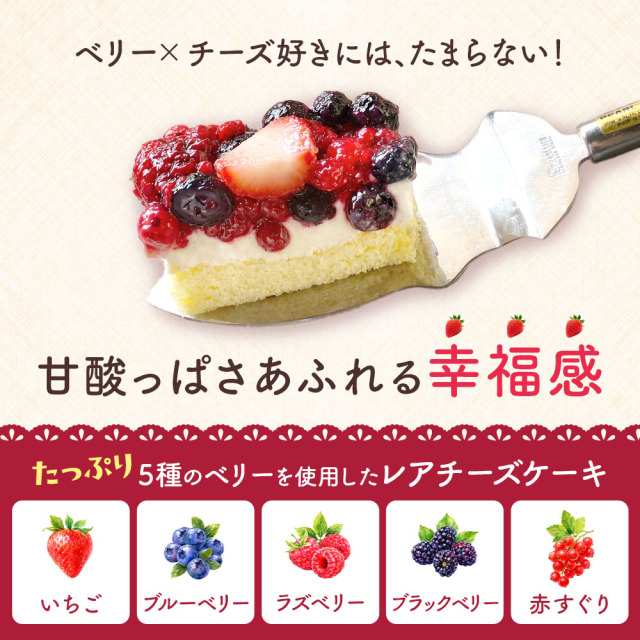 ベイクド・アルル 5種のベリー贅沢レアチーズケーキ レアチーズケーキ