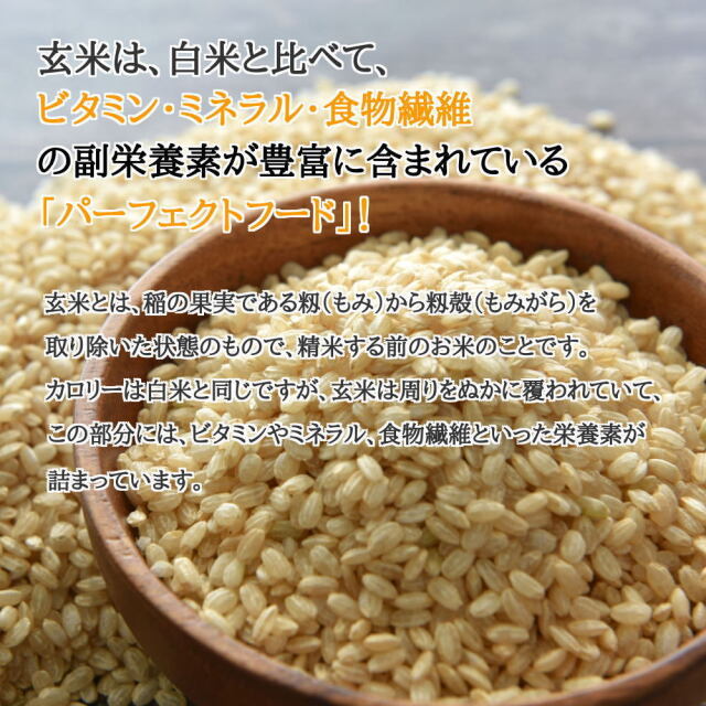 寝かせ玄米