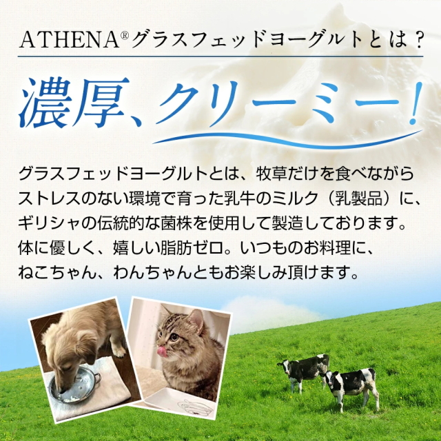 【脂肪分ゼロ】グラスフェッド ギリシャヨーグルト [1kg]アテナ グリーク ヨーグルト ATHENA GREEK YOGURT 工場直送【冷蔵便】