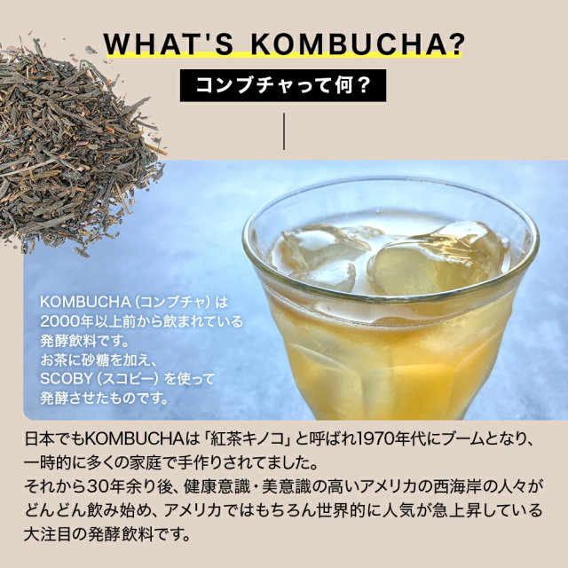 スターコンブチャ 4種類（マンゴー、パッションフルーツ、ピーチ