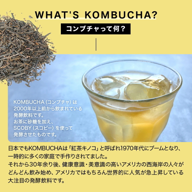 お得なケース販売】スターコンブチャ マンゴー(発酵飲料)[250ml×24本
