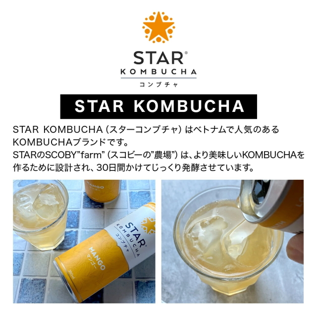 スターコンブチャ マンゴー(発酵飲料)[250ml／1本]STAR KOMBUCHA MANGO
