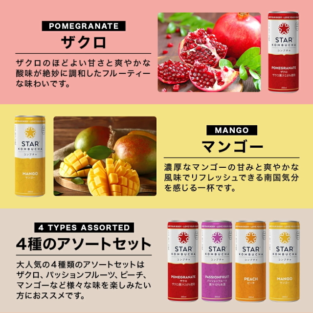 トロピカルマリア ビューティーコンブチャ 本格発酵ドリンク 720ml × 4本 コンブチャ発酵ドリンク720ml×4本セット トロピカルマリア