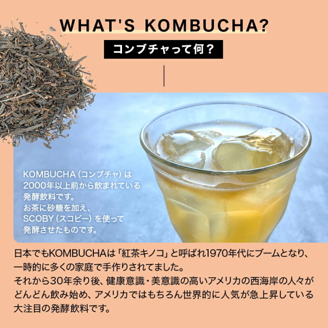 KombuchaMana （コンブチャマナ） スターコンブチャ マンゴー(発酵飲料) 250ml