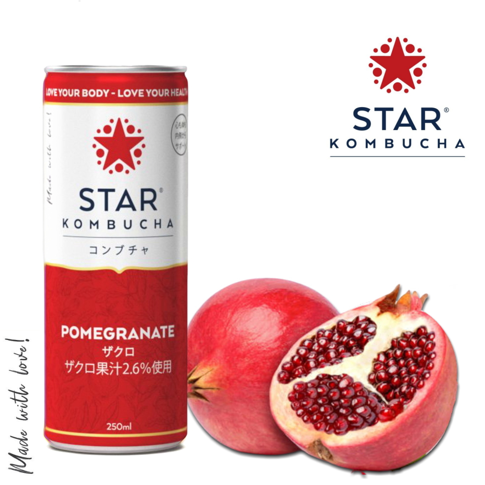 スターコンブチャ ザクロ(発酵飲料)[250ml／1本]STAR KOMBUCHA POMEGRANATE 紅茶キノコ 発酵ドリンク【常温便】