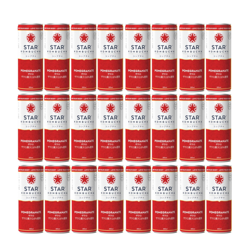 【お得なケース販売】スターコンブチャ ザクロ(発酵飲料)[250ml×24本]STAR KOMBUCHA POMEGRANATE 紅茶キノコ 発酵ドリンク【常温便】