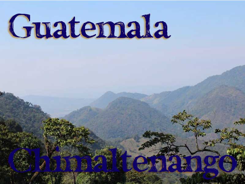 グアテマラ　チマルテナンゴ　アンティグア・パステレスミル 【メール便OK】 自家焙煎コーヒー