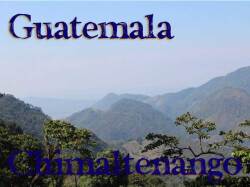 グアテマラ　チマルテナンゴ　アンティグア・パステレスミル 【メール便OK】 自家焙煎コーヒー