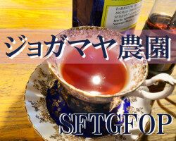 ジョガマヤ農園  SFTGFOP リーフティー 50g