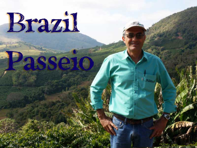 ブラジル　パッセイオ農園　イエローブルボン 【メール便OK】 自家焙煎コーヒー