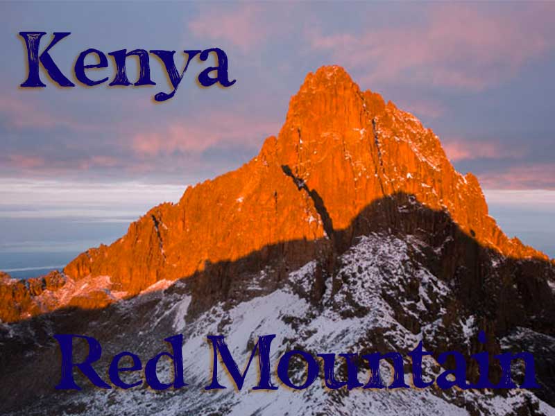 ケニア　レッドマウンテン　AA Top 【メール便OK】 自家焙煎コーヒー