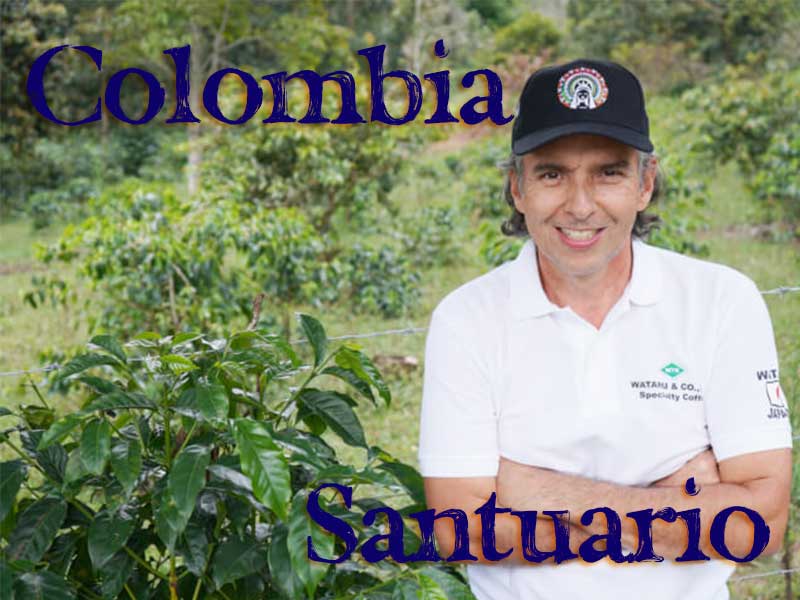 コロンビア　サンチュアリオ農園　ブルボン【メール便OK】 自家焙煎コーヒー