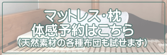 ESTELLAエステラ　フィットシーツ　MAAM 2枚組 楽天市場】ベッドシーツ 綿ニット シングル セミダブル ダブル