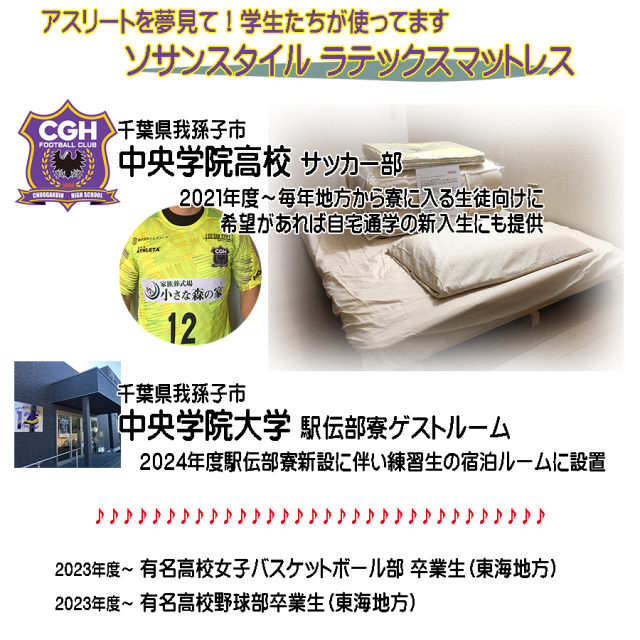 学割キャンペーン ラテックスマットレス 枕 セット