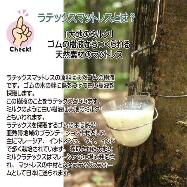 学割キャンペーン ラテックスマットレス 枕 セット