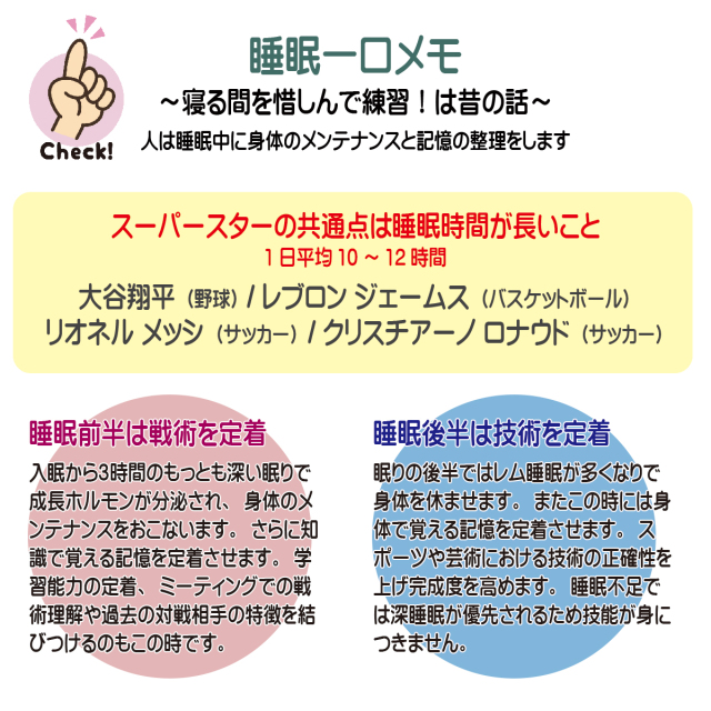 学割キャンペーン ラテックスマットレス 枕 セット